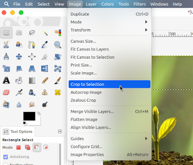 Cara Memotong atau Crop Gambar Dengan GIMP - Third