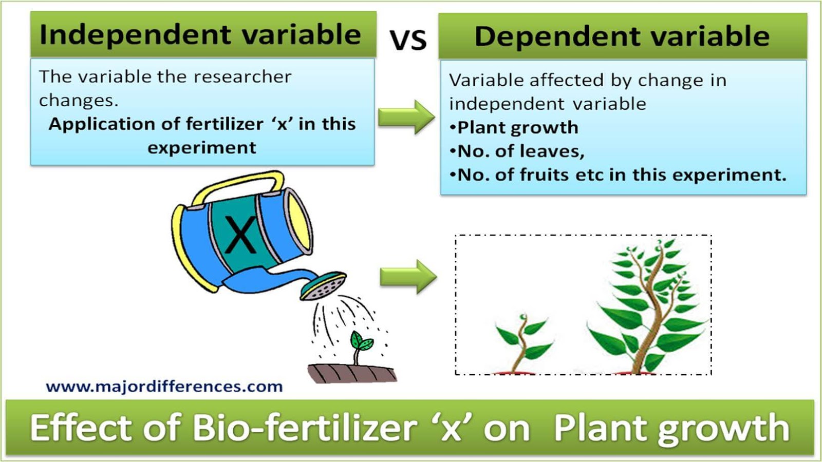 examples of hypothesis with independent and dependent variables