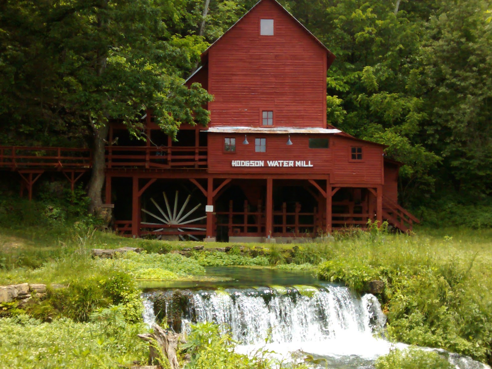 My Life In The Ozarks May 2016