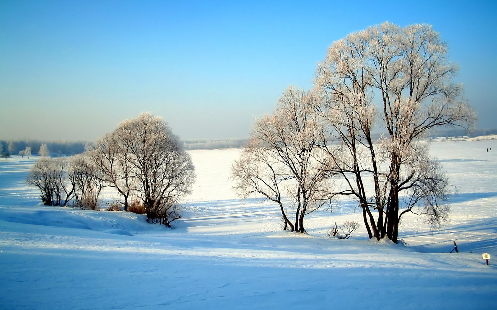 Snow Fall Winter HD Wallpapers - HD Wallpapers Blog
