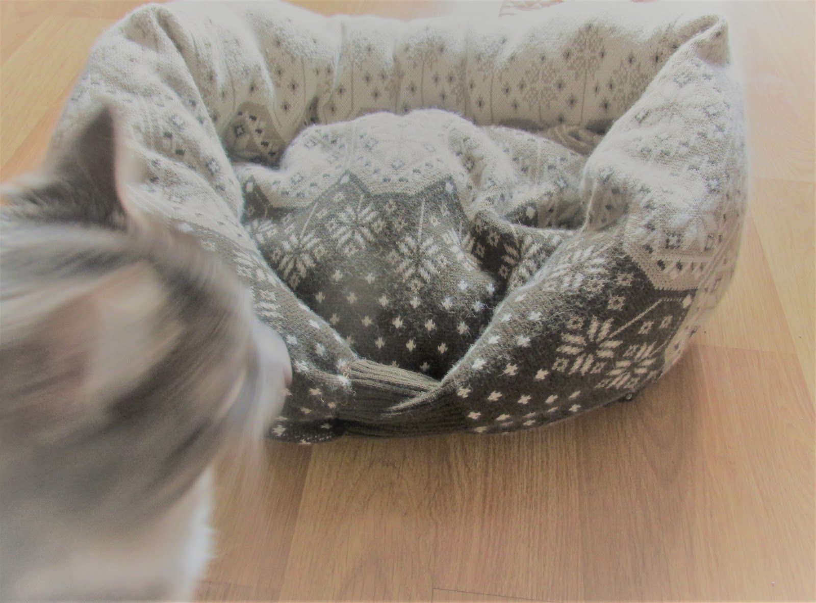 Vickie's Kitchen and Garden What I Love to Do When it's Cold Outside