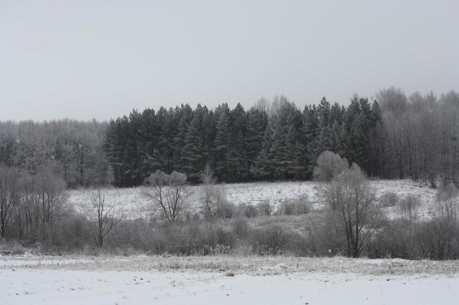 лопатина хутор кущевский район. саранск хутор лопатино. погода хутор лопатино. погода хутор лопатино. погода хутор лопатино.