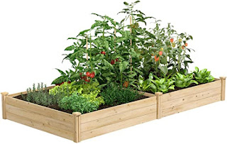 Must Have Gardening Beds For Every Budget - Being Ecomomical 
