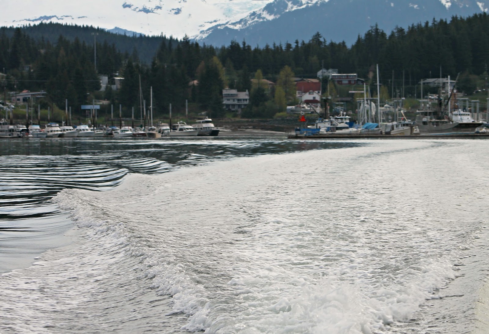 Sandra's Alaska Photography May 26, 2013 A Day Fishing the Spring