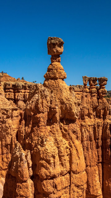 Grand Canyon landscape photo image