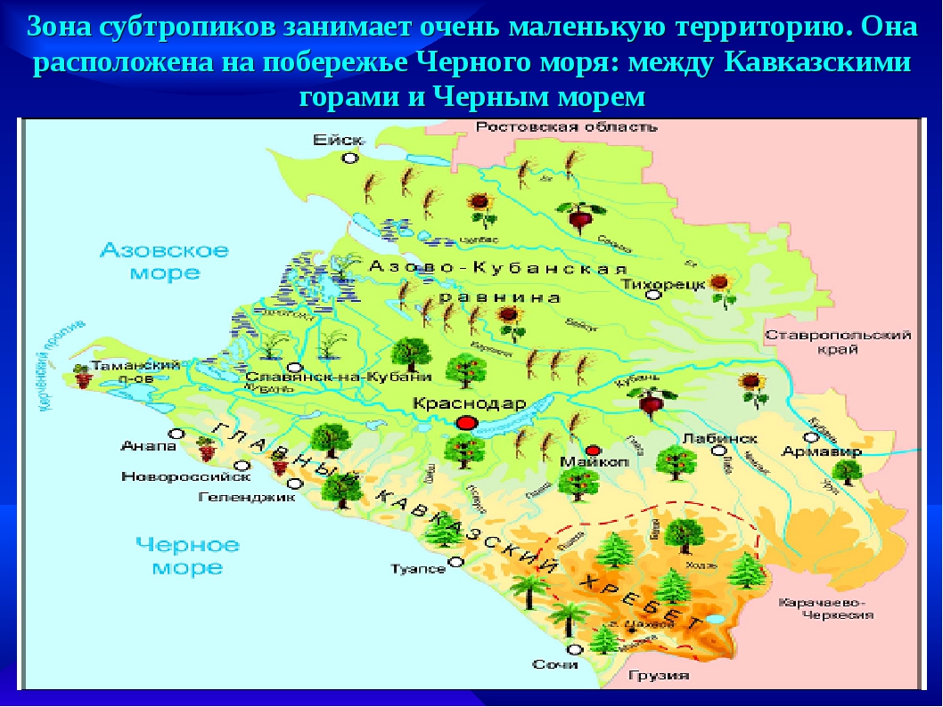 В каких природных зонах расположен краснодарский край. Зона субтропиков Черноморского побережья на карте. Карта природных зон Краснодарского края. Природные зоны России субтропики Кавказа. Черное море Черноморская побережье зона субтропики на карте.