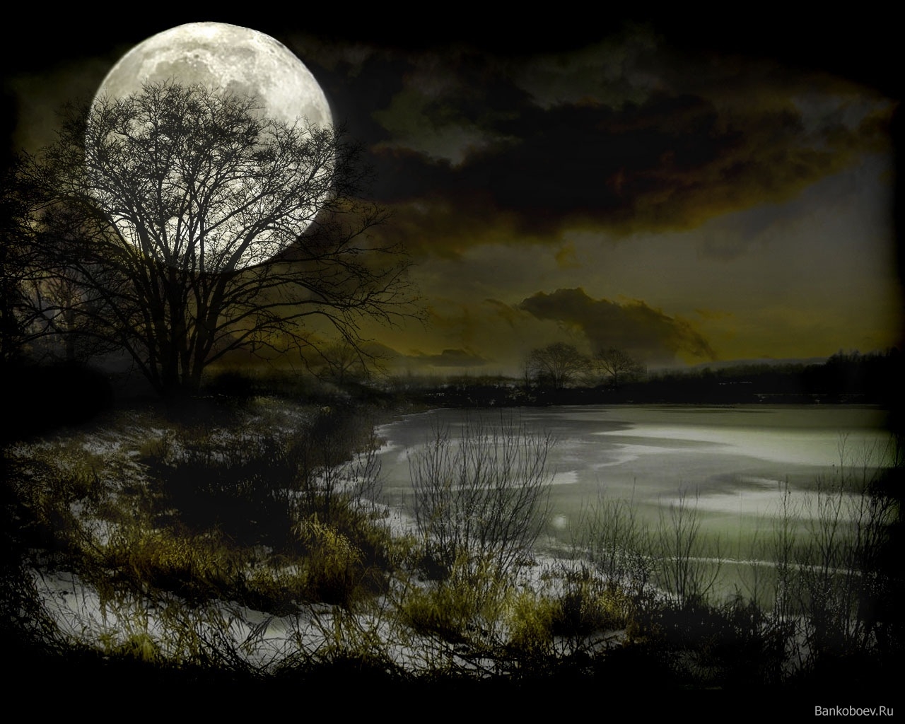 Лунном болоте. Болото Луна. Ночное болото. Болота ночью. Лунное болото.