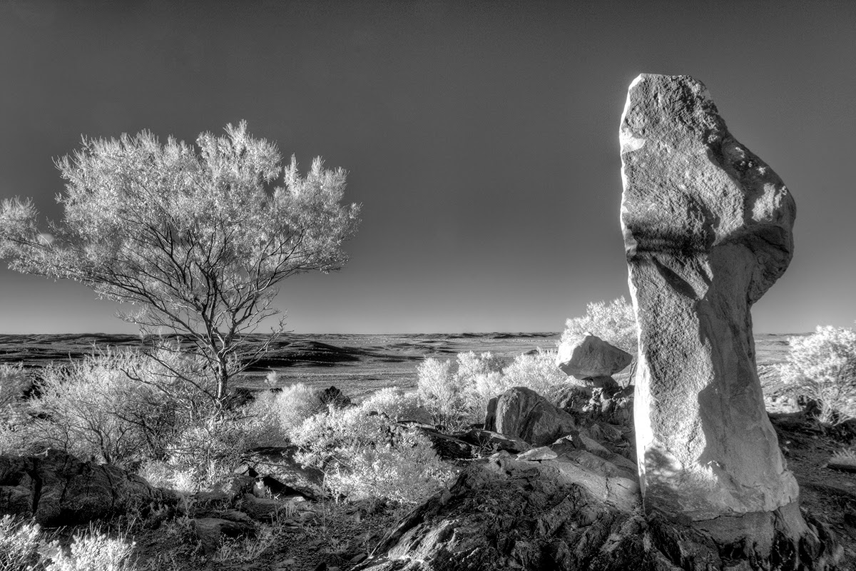 The f8 Group Photography and Occasional Commentary High Contrast