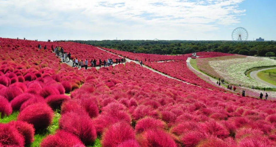 Национальный парк хитачи