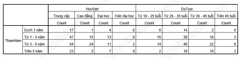 Chạy bảng kết hợp Custom Table trong SPSS