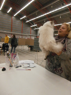 Bild