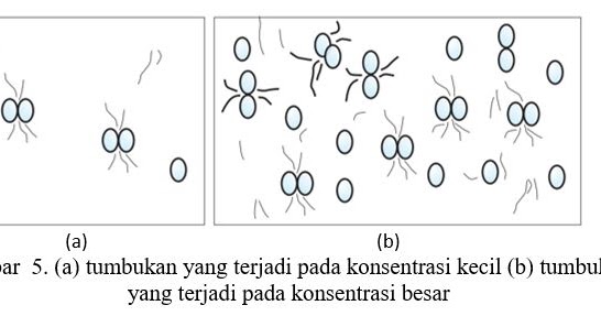 FaktorFaktor yang Mempengaruhi Kecepatan Laju Reaksi  masyog.com