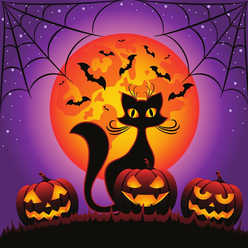 Sweet Romance Reads What do you really know about Halloween by