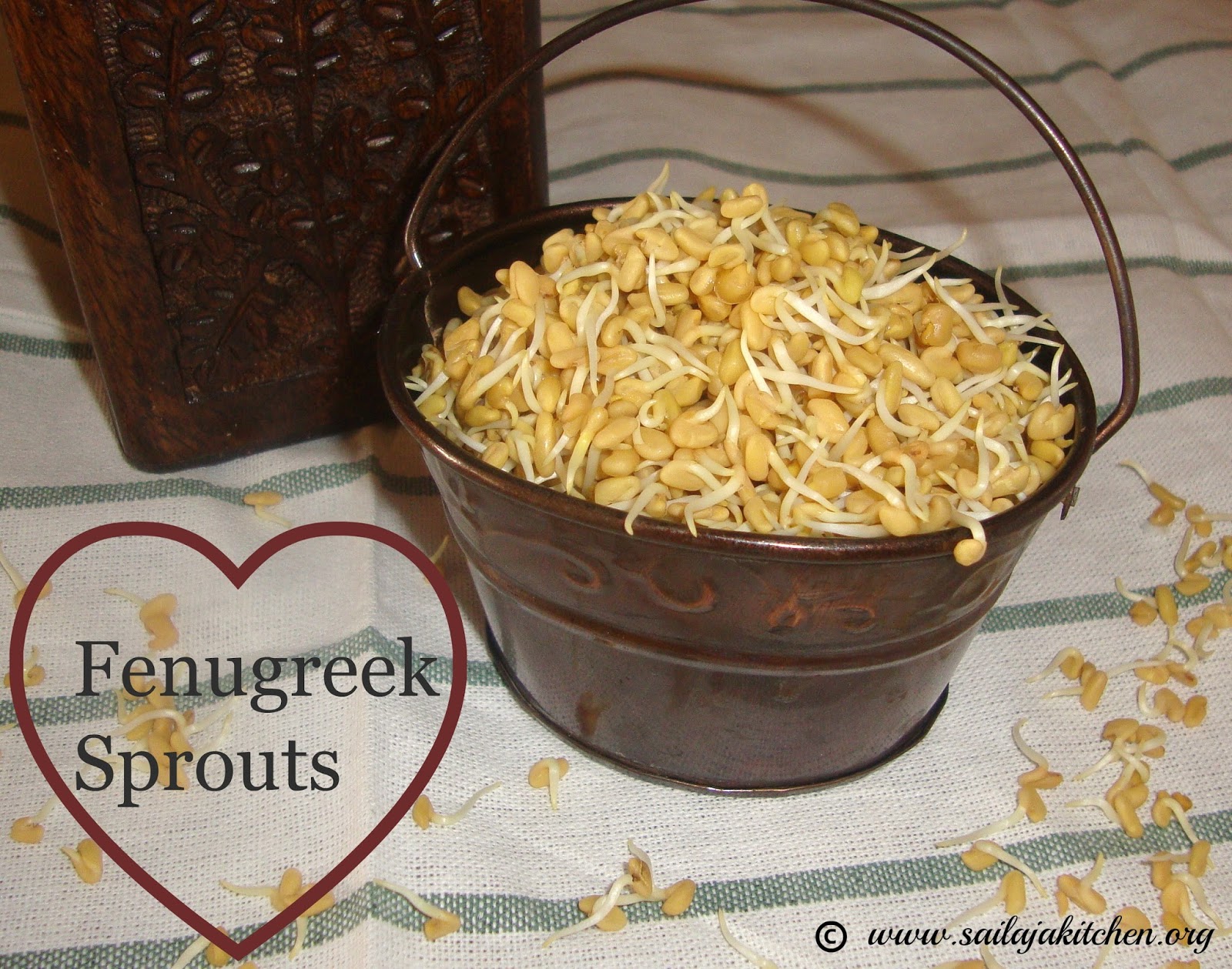 Sailaja Kitchen...A site for all food lovers! How to Sprout Fenugreek