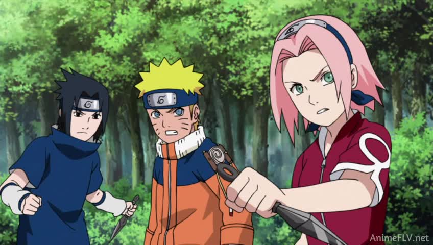 Ver Naruto Shippuden Las crónicas de Jiraiya - Las historias perdidas de Naruto - Capítulo 434