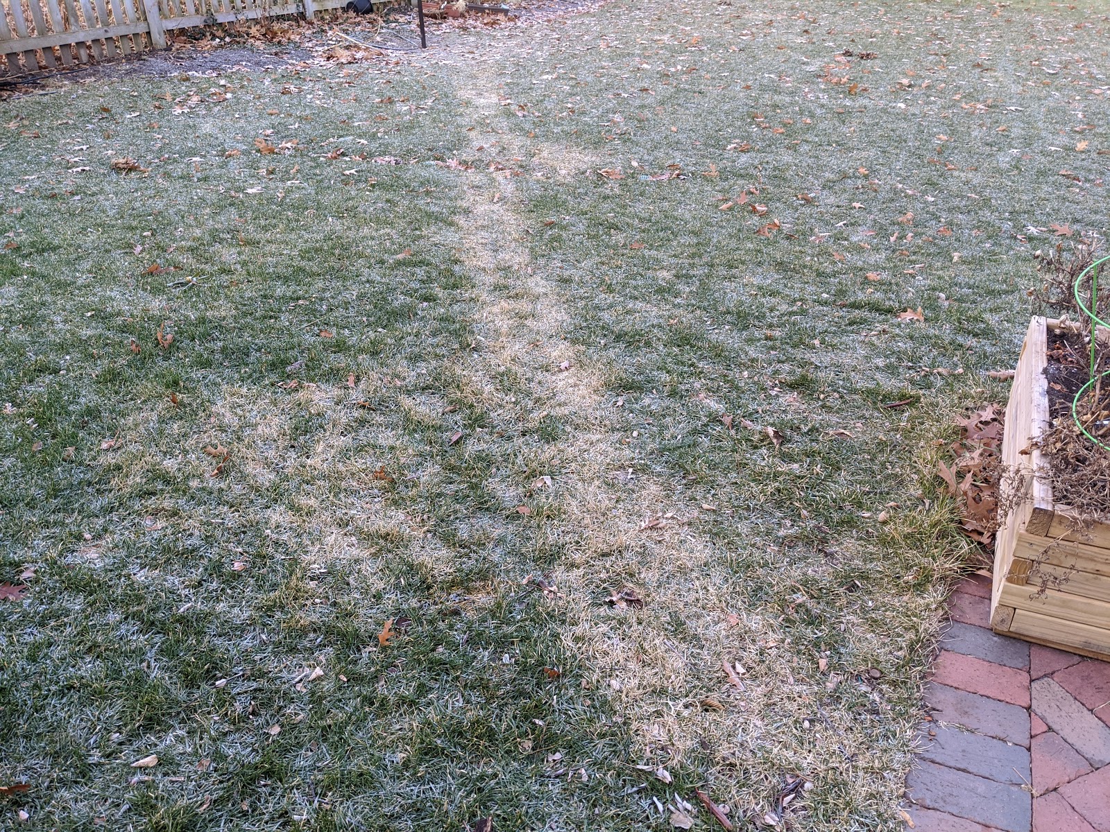 Winter Grass Damage From Snow Removal Winter 2019