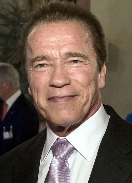 Arnold Schwarzenegger Wallpapers