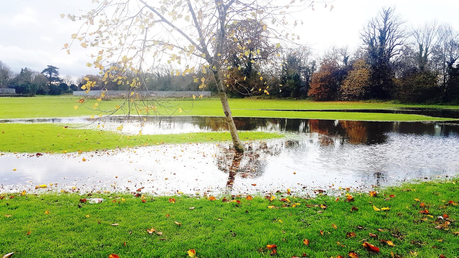 corkagh park cycle track