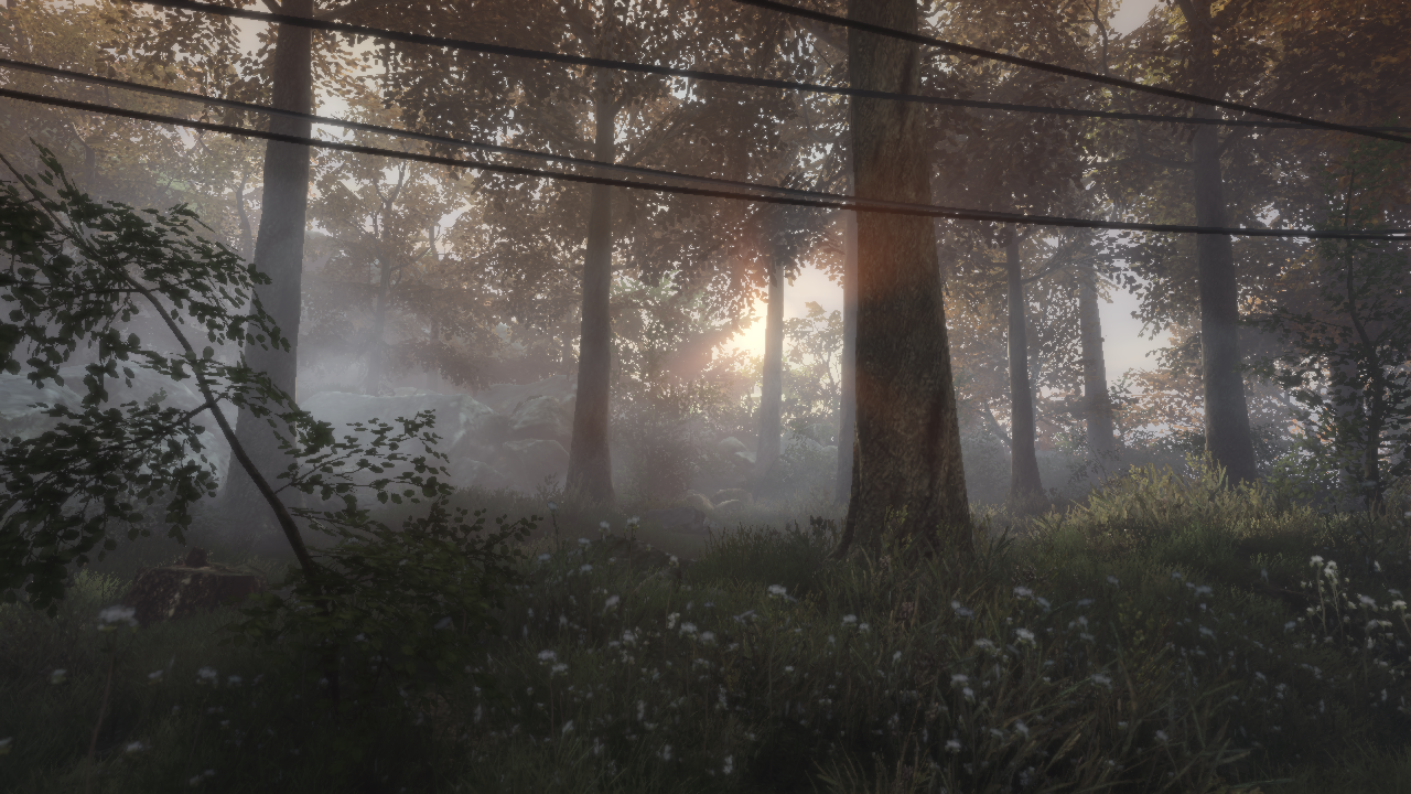 The Vanishing of Ethan Carter