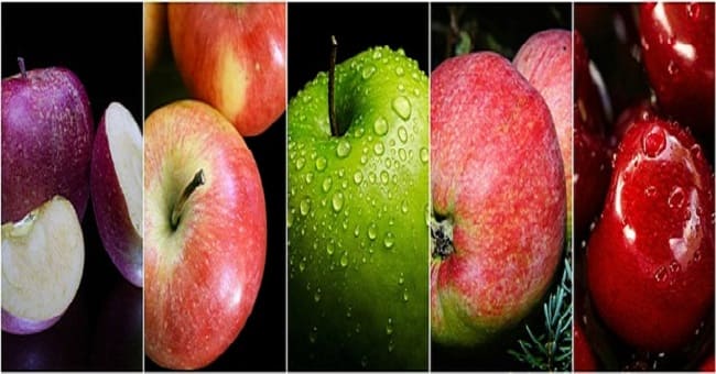فوائد خل التفاح للمعدة والكولون