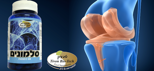 סלמונים בונה סחוס ועצם