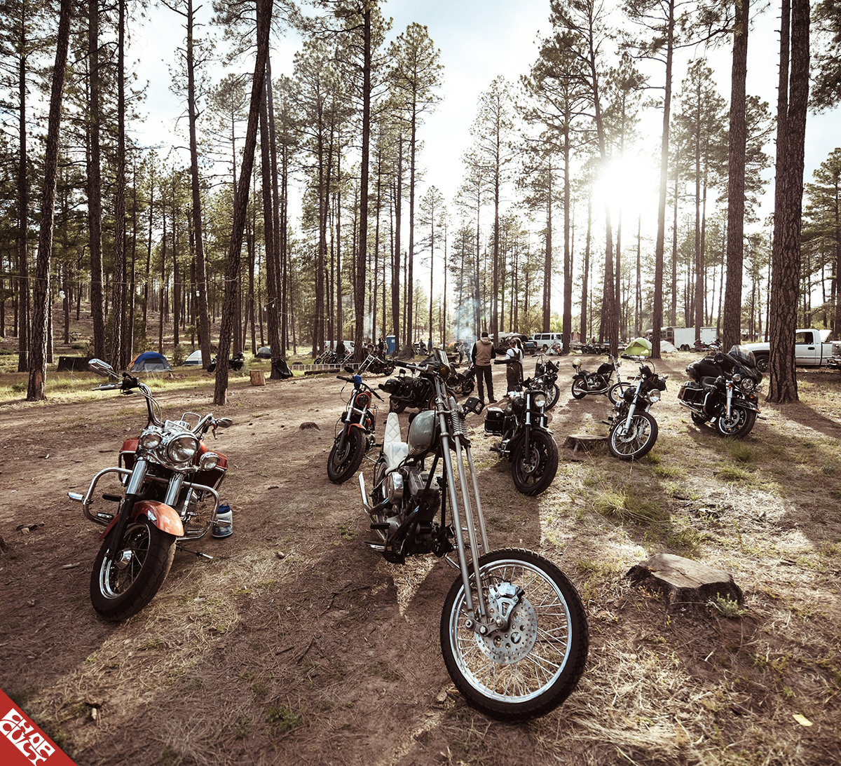 ChopCult New Focus Feature