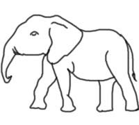 baby-elephant-drawing