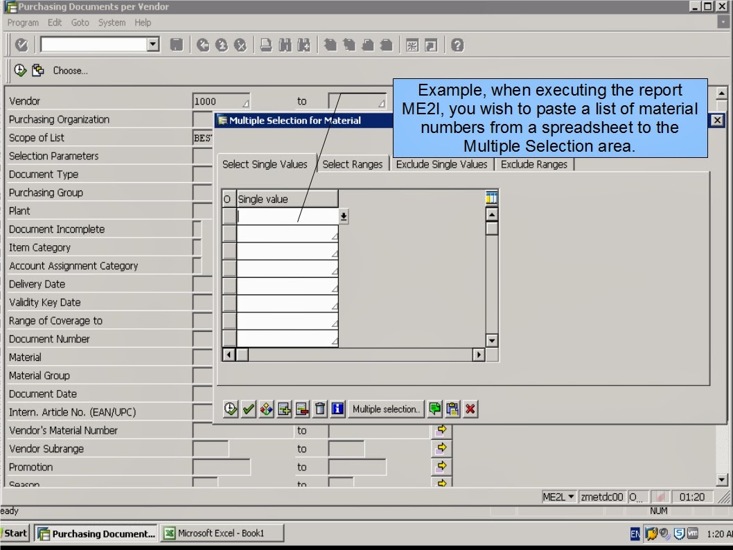 青蛙SAP分享 Froggy's SAP sharing N21 Clipboard Operating Multiple Fields