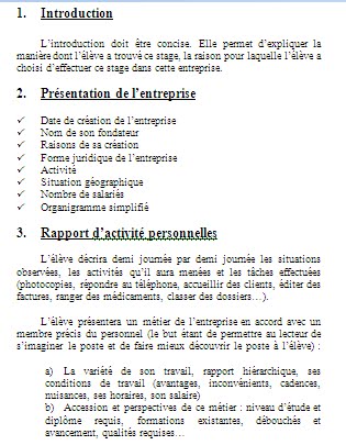 introduction rapport de stage bac pro