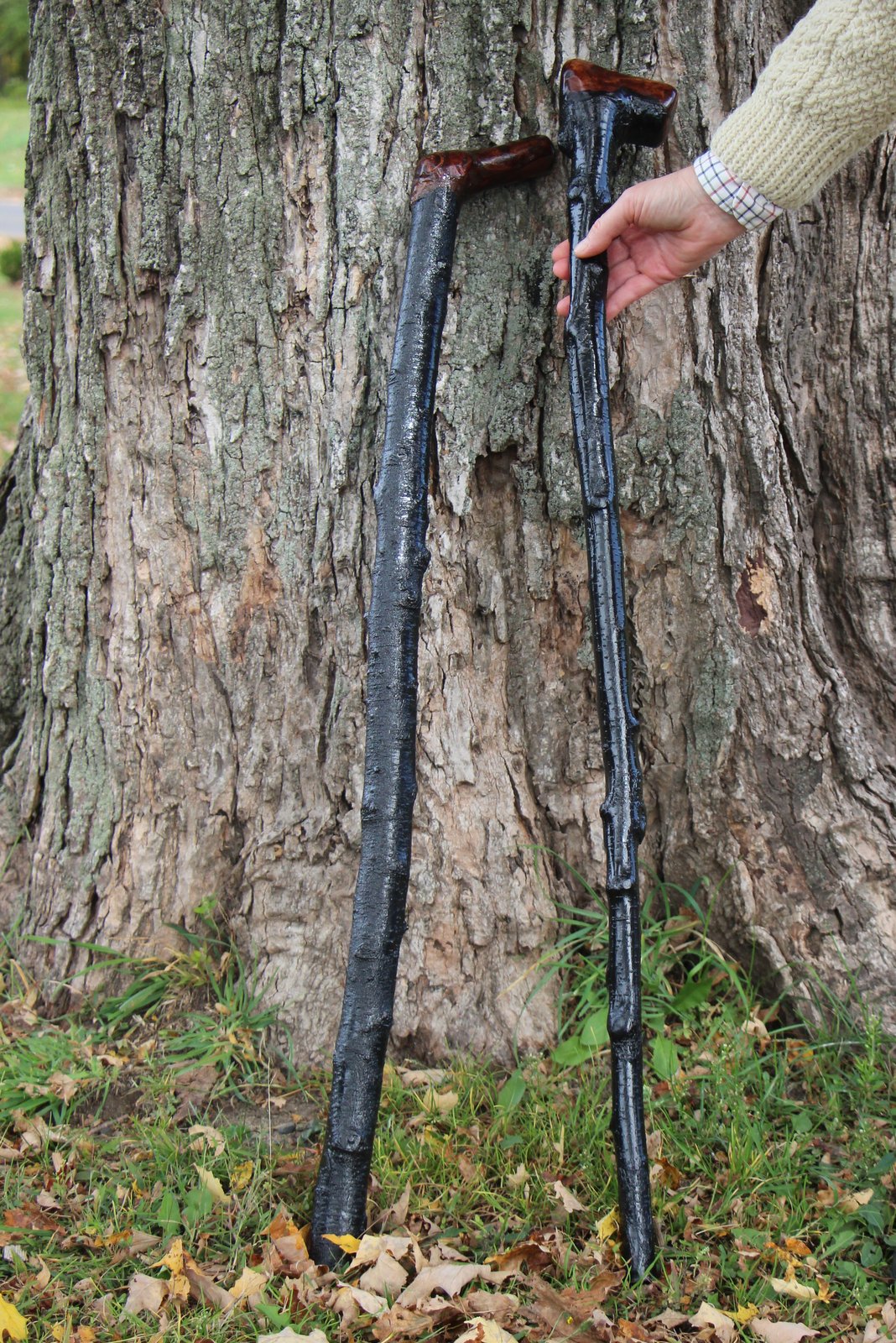 Salt Water New England The Irish Blackthorn Walking Stick