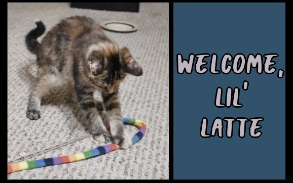 Welcome, Latte!