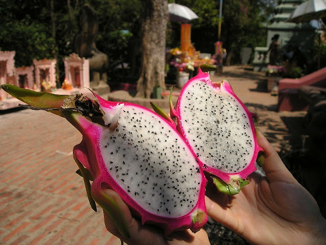 Apparently, dragon fruit has four health benefits for the body.