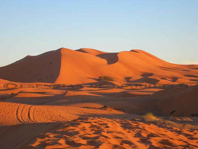 Resultado de imagen de Desierto de arena o hamada de Merzouga