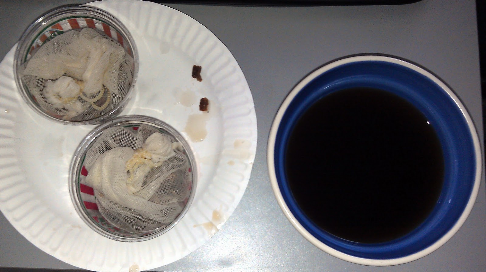 The Screwy Brewer Add Toasted Oak Chips To Your Next Beer