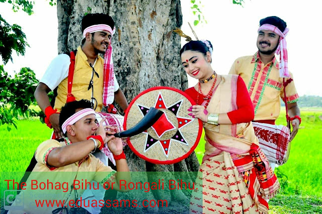 Rongali bihu essay image