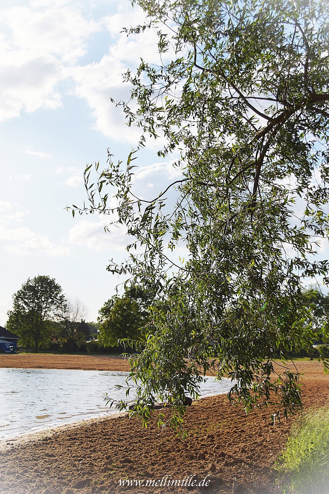 mellimille: Midsommar-Picknick am See: Lachs-Focaccia, Melonensalat mit ...