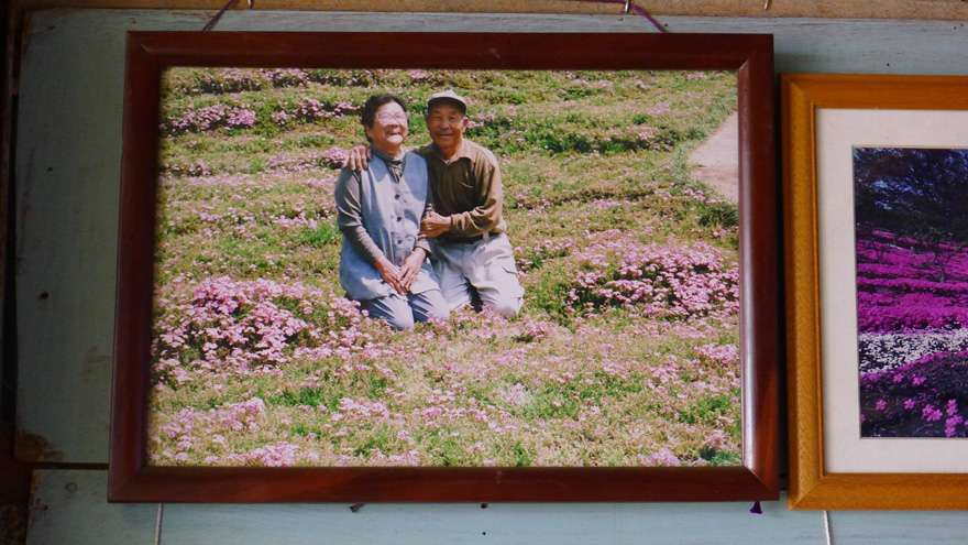 Slowly, Mrs. Kuroki emerged from her shell to enjoy the garden - Loving Husband Spends 2 Years Planting Thousands Of Flowers For His Blind Wife To Smell Slowly, Mrs. Kuroki emerged from her shell to enjoy the garden - Loving Husband Spends 2 Years Planting Thousands Of Flowers For His Blind Wife To Smell