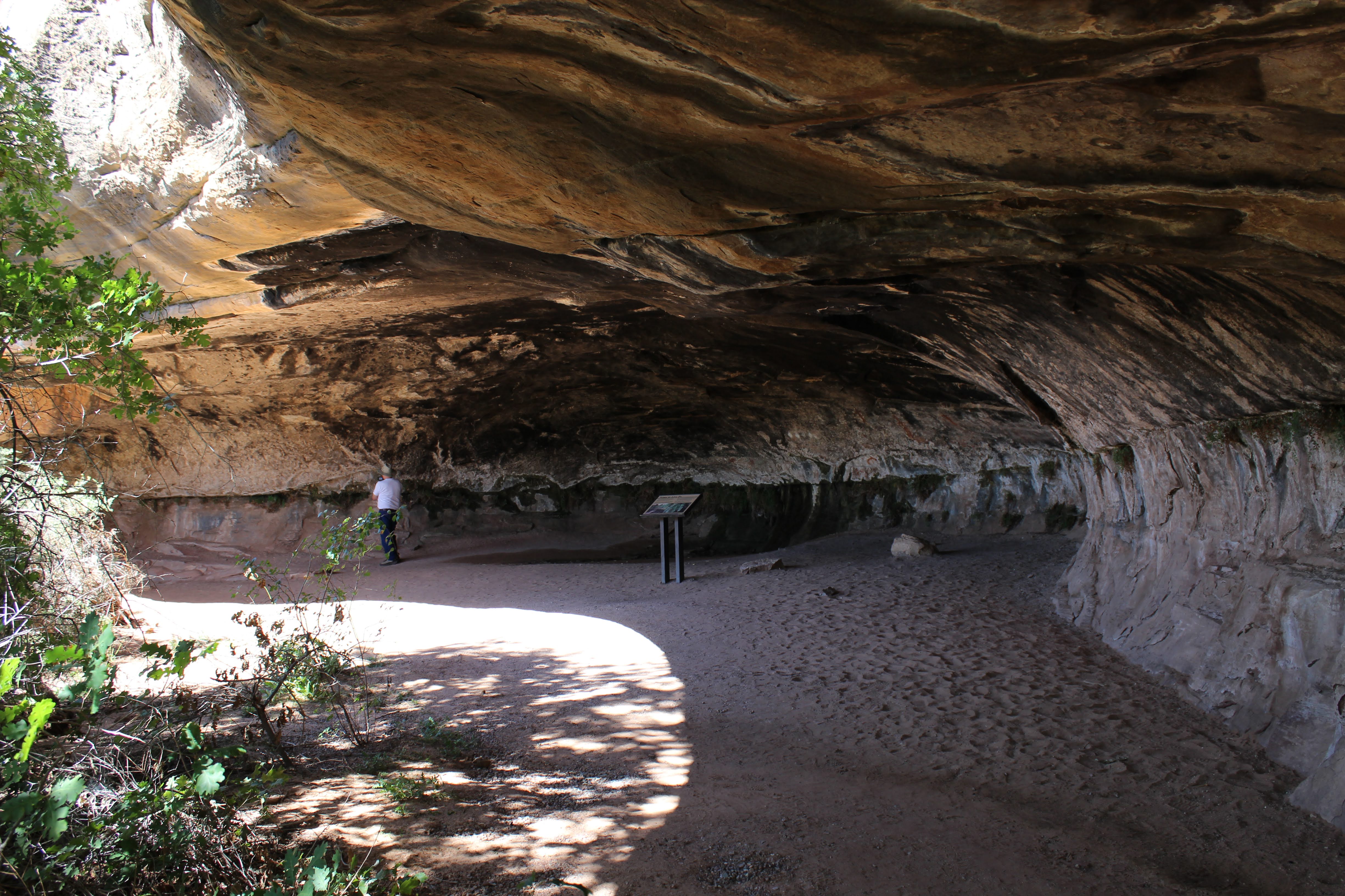 To Behold the Beauty Canyonlands Needles District Cave Spring Trail