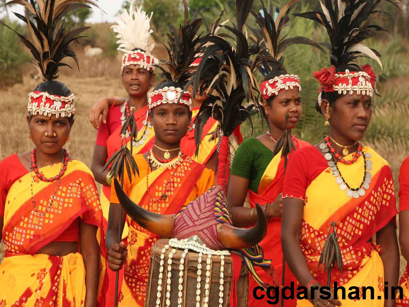 बस्तर की घोटुल संस्कृति/प्रथा क्या है, इसके बारे में जाने Bastar ki