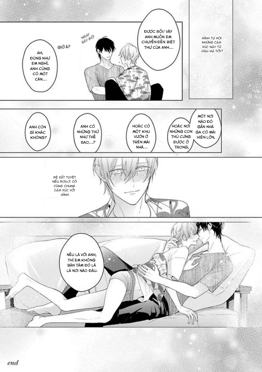 Đọc truyện Omega Không Đứng Đắn Không Thể Rơi Vào Lưới Tình - Chapter 6