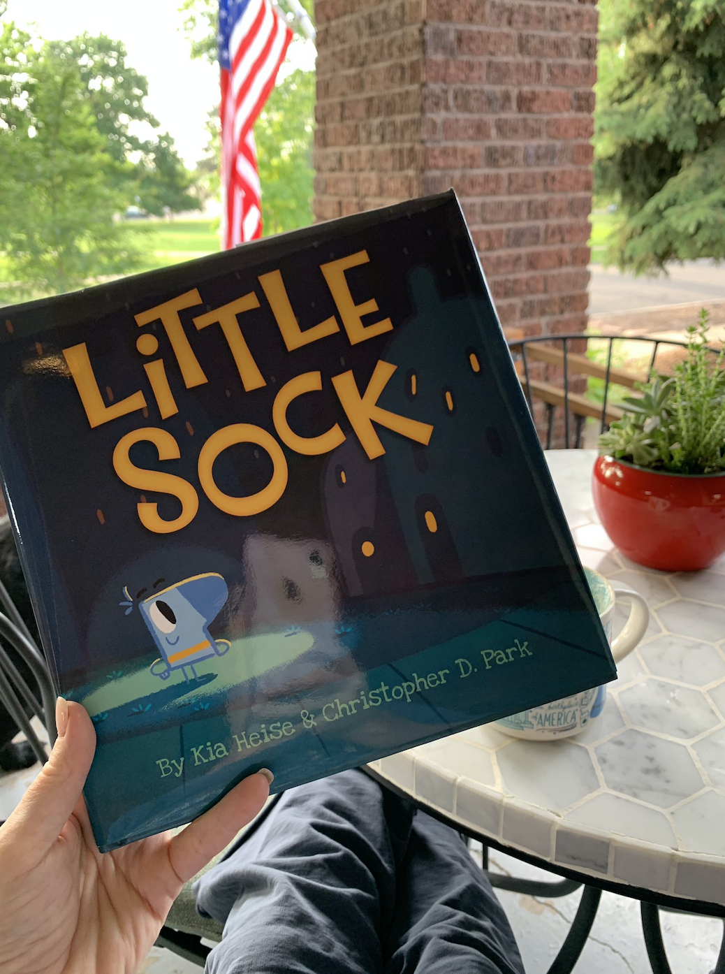 The Library Voice Little Sock....A Sweet New Picture Book For Every