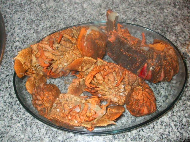 Pimentinhas na Cozinha: CAVACOS