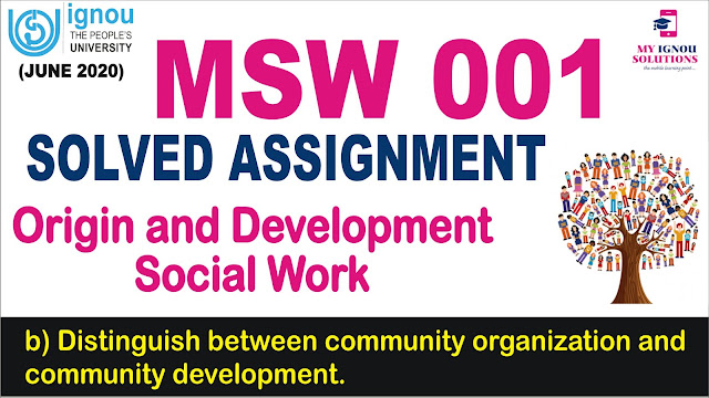 community work, msw assignment