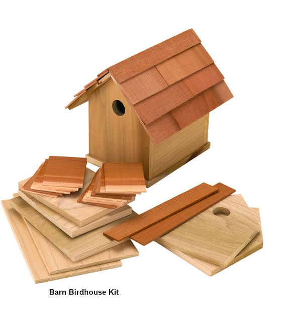 Barn Birdhouse Kit