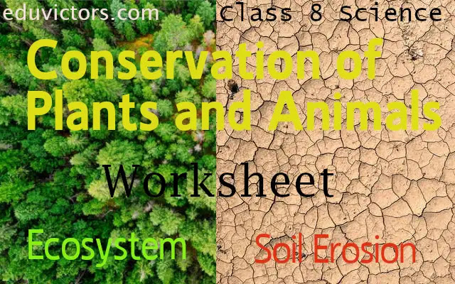 CBSE Papers, Questions, Answers, MCQ ...: CBSE Class 8 - Science -  Conservation of Plants and Animals  (Worksheet)(#class8Science)(#ConservationWorksheet)(#eduvictors)
