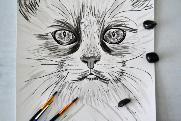 Art et glam: Portrait du chat : dessin à l&#39;encre de Chine