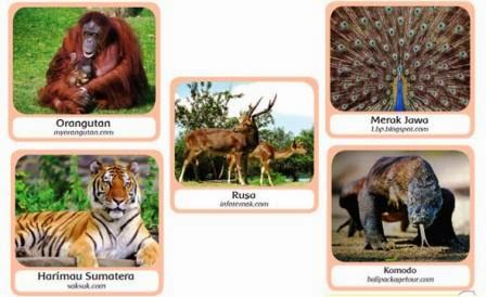 Hewan langka adalah hewan yang jumlahnya sangat sedikit atau sangat jarang Hewan Langka di Indonesia