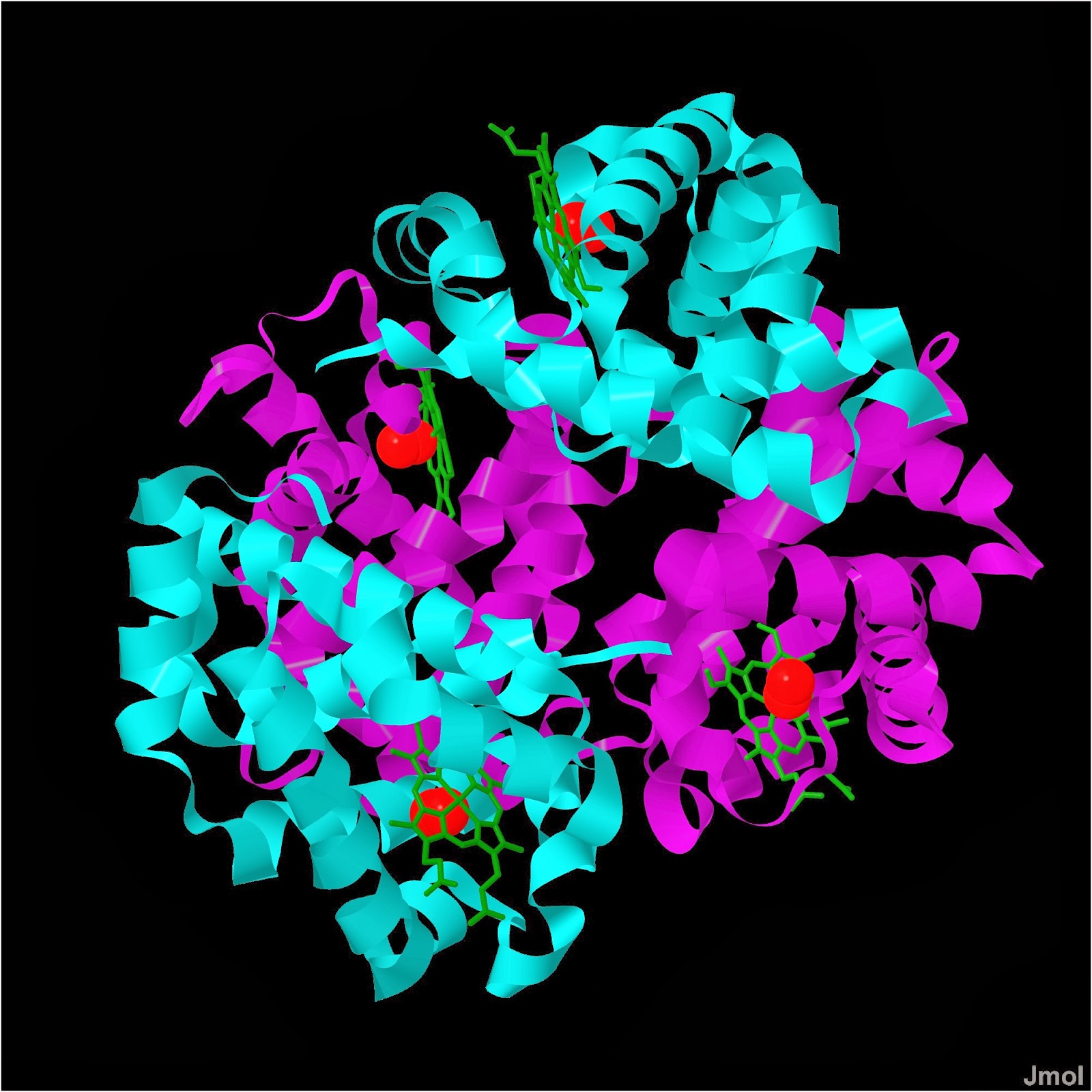 Unlocking Evolution'S Code: What Is Selective Advantage? - 7vx25u7