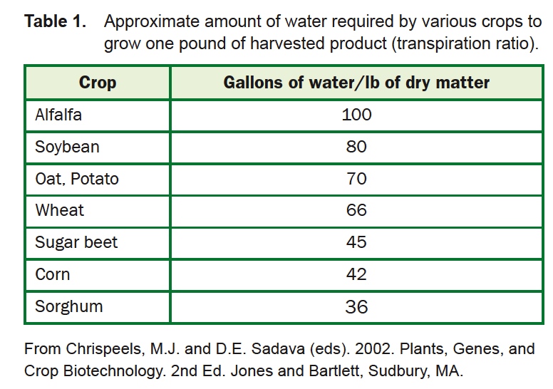 Managing Plant Nutrients: What About the Water?