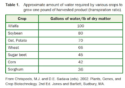 Managing Plant Nutrients: What About the Water?